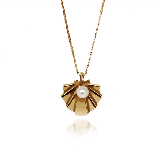 Colar Shell Prata